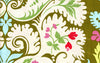 Acanthus