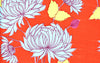 Chrysanthemum